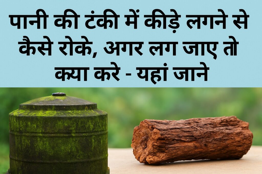पानी की टंकी में कीड़े लगने से कैसे रोकें और अगर लग जाएं तो क्या करें – उपयोगी घरेलू उपाय और सफाई टिप्स